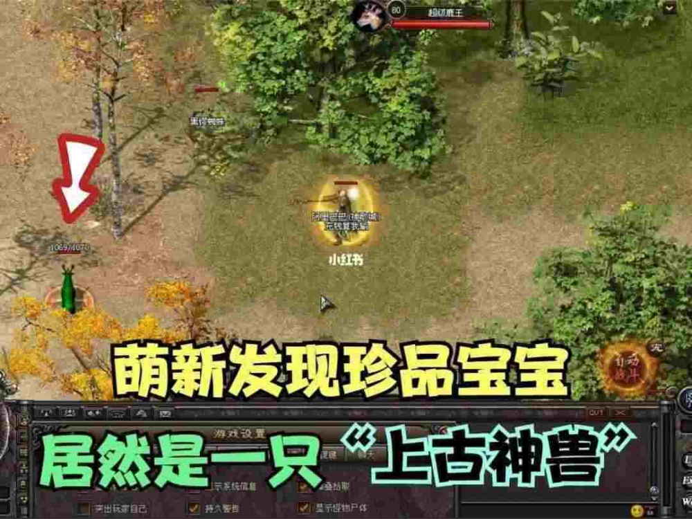 红月传奇神力之传奇私服如何换内挂